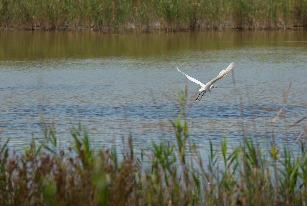 Valgrande Bibione Casone Villa Esterno foto